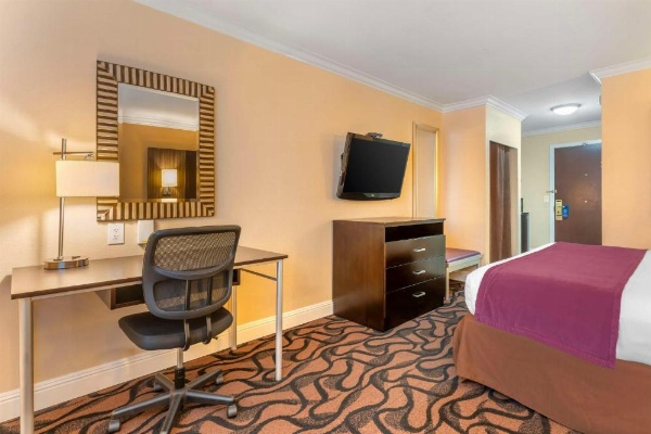 Best Western Plus Airport Plaza image 30